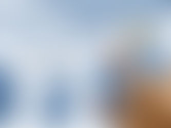 求人票のここを抑える!優良企業を見つける3つのポイント