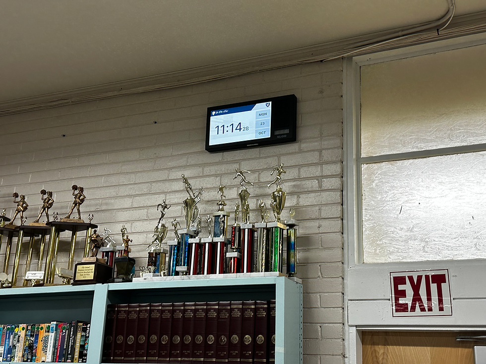 IP Display Speaker STSPP12.HEIC