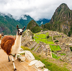machu-picchu-reglamento.jpg