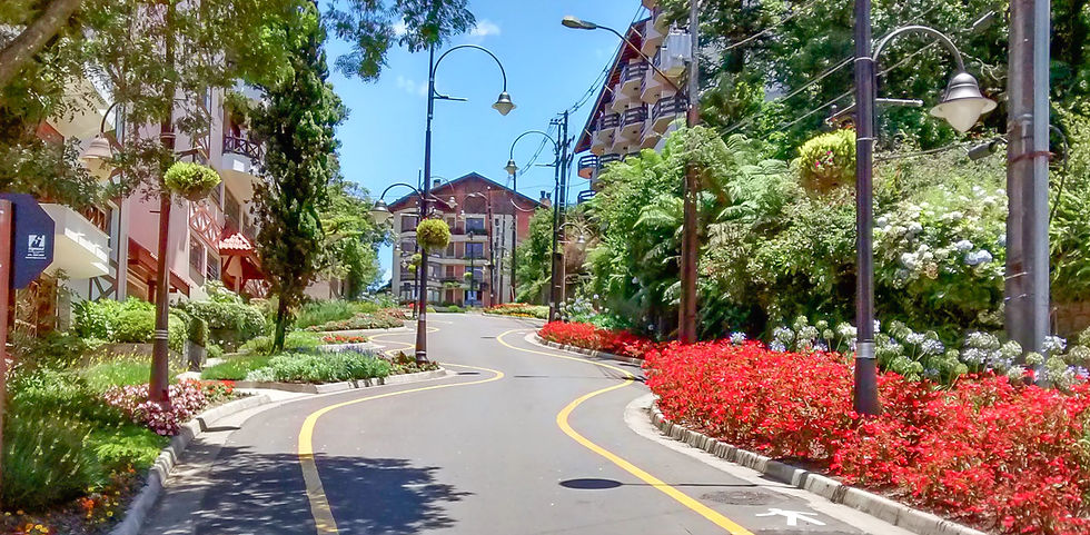 Miniatura: TRIP GRAMADO, CANELA E NOVA PETRÓPOLIS + CAFÉ COLONIAL INCLUSO 08/10/2023