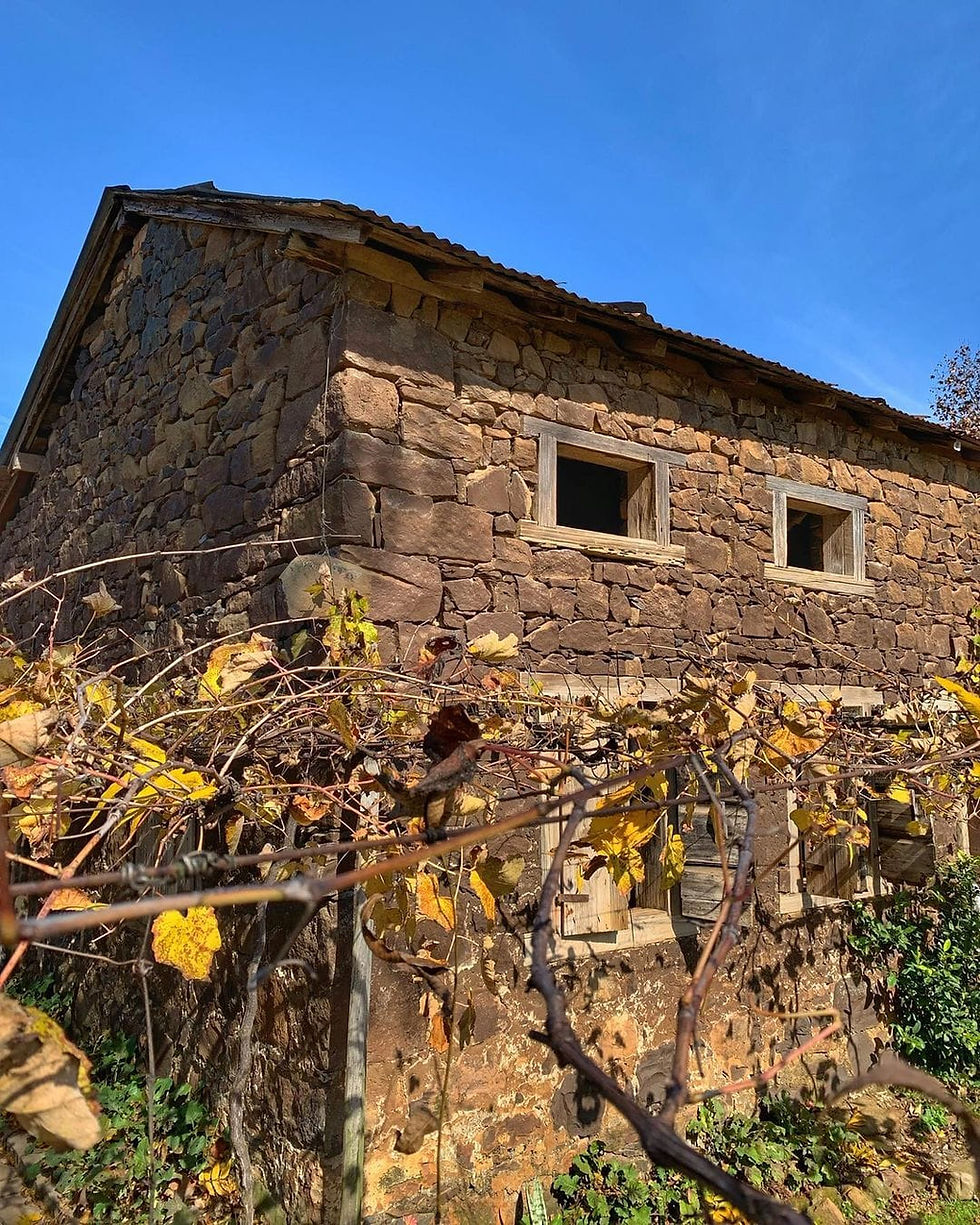 Miniatura: TRIP BENTO GONÇALVES/ VALE DOS VINHEDOS E CAMINHOS DE PEDRAS 12/05/2024