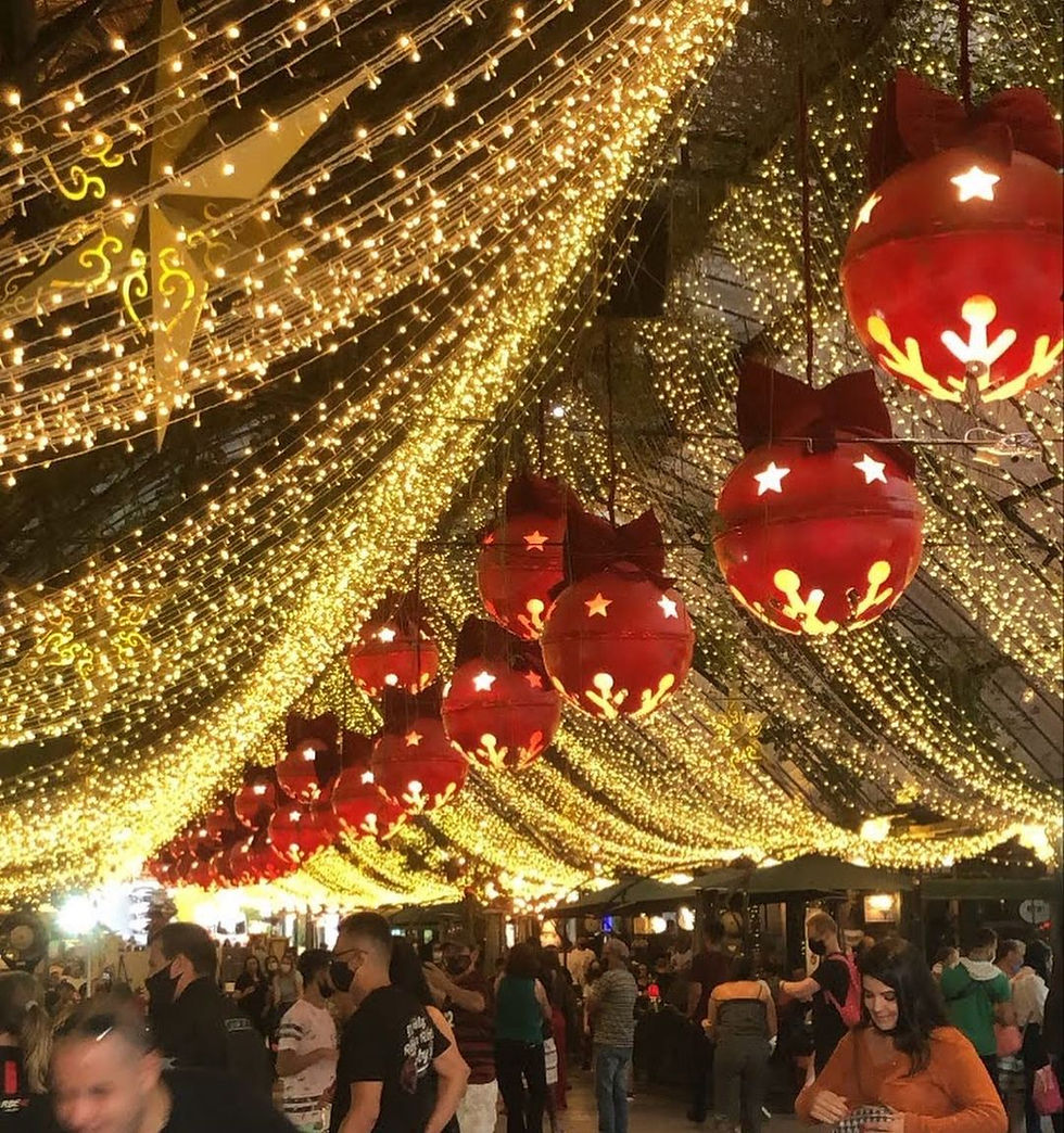 Miniatura: TRIP NATAL LUZ EM GRAMADO E CANELA + CAFÉ COLONIAL INCLUSO  30/11/2025