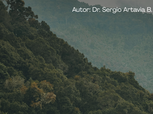 MANUAL DEL PROCESO AGRARIO Capítulo IV – El juez agrario y sus potestades. Naturaleza jurídica, límites y modelo funcional