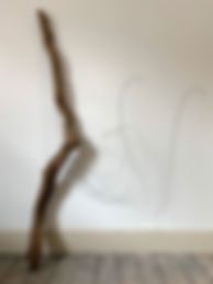 Rhythm: Japanese cedar driftwood, steel strings
