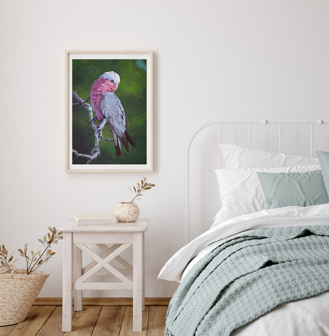 Framed galah print by Naomi Veitch hanging in a bright bedroom. Soft pink tones reflecting a coastal interior style.
