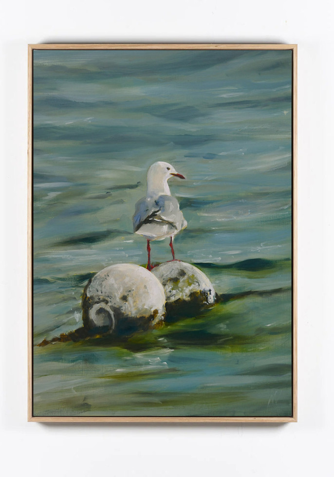 The Balancing Act seagull canvas print styled in a light oak floating frame on a neutral wall