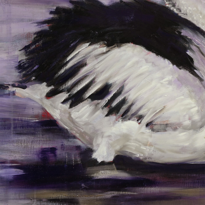 detail of the painting - pelican