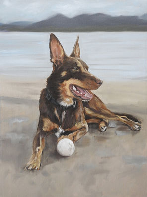A portrait painting of a chocolate and tan Australian Kelpie dog resting on a beach next to a ball. Painted by Naomi Veitch