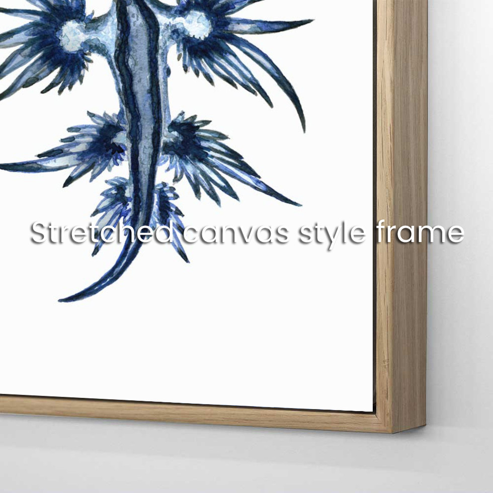 framed stretched canvas detail