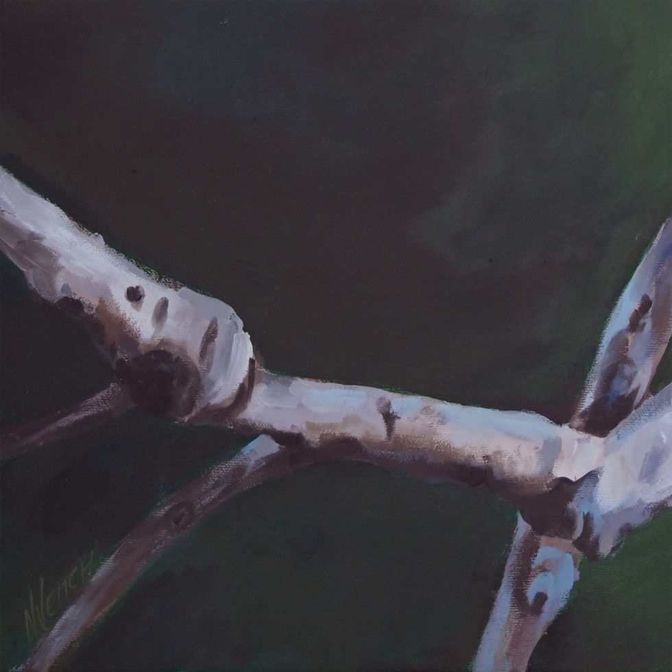 Close-up of 'Blush Galah' showing artist signature & branch detail