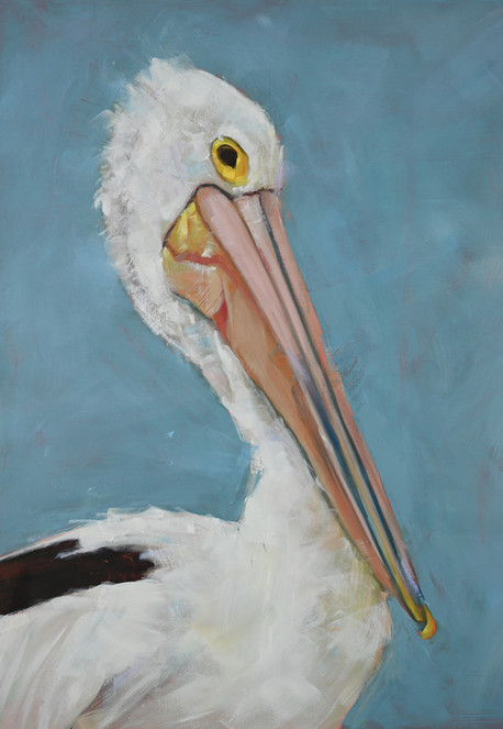 painterly pelican greeting card