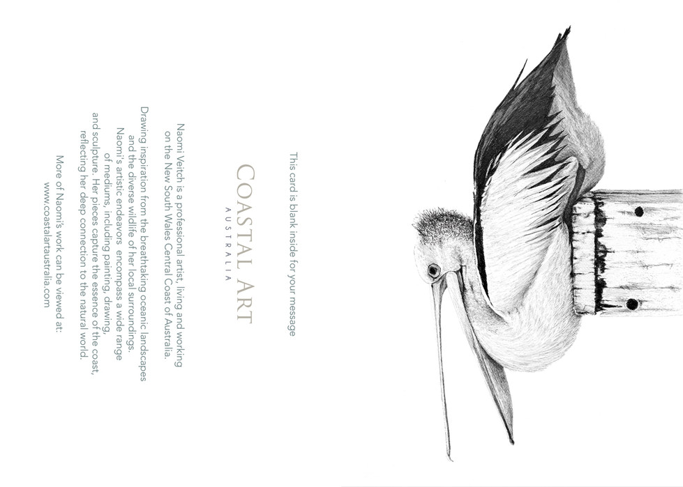 greeting card of a pelican on a post, Naomi Veitch
