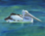 A painting of a pelican swimming in tropical waters by Australian artist Naomi Veitch