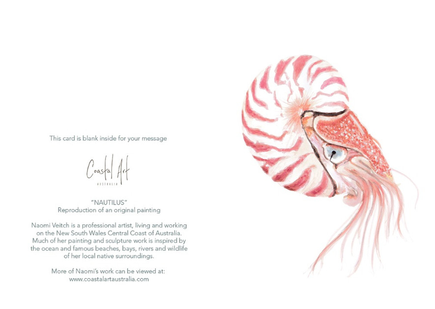 watercolour nautilus greeting card