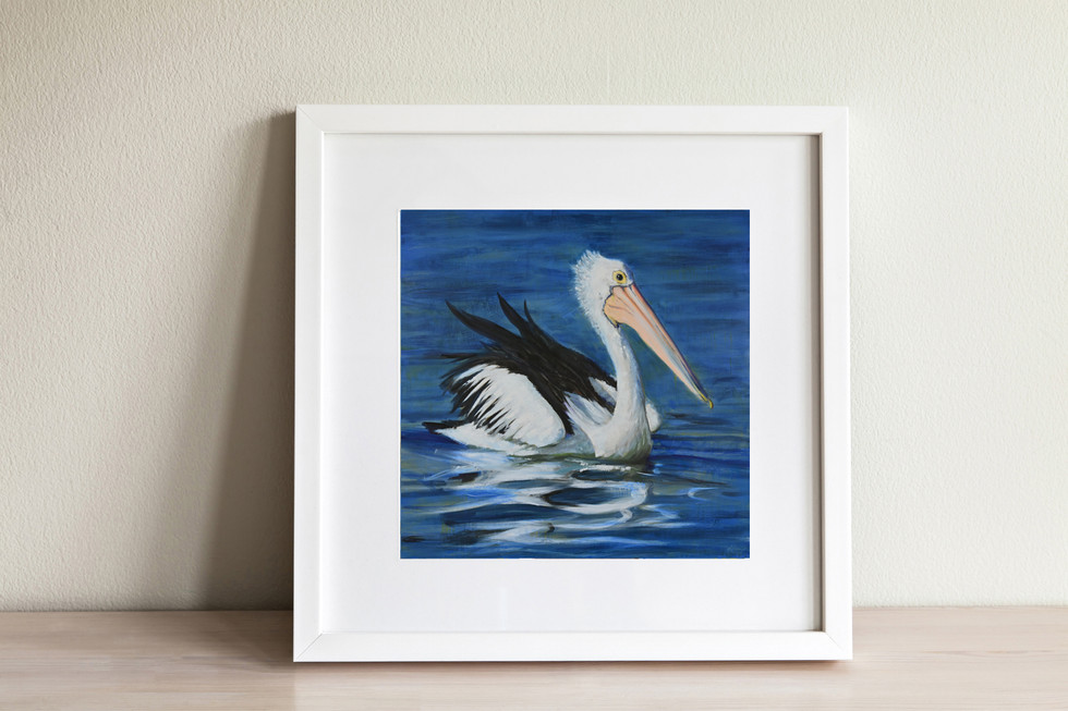 framed print on an australian pelican floating on water
