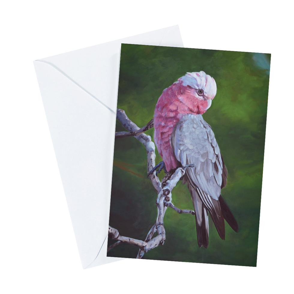 Original pink Galah painting by Naomi Veitch on a premium greeting card.