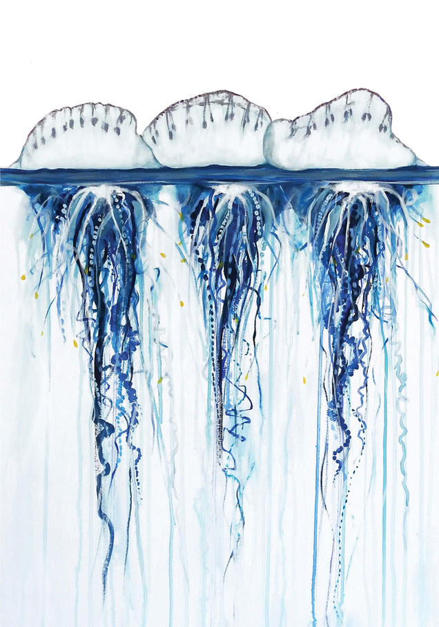 Group of bluebottles floating in water, with flowing translucent tentacles, coastal-inspired artwork.