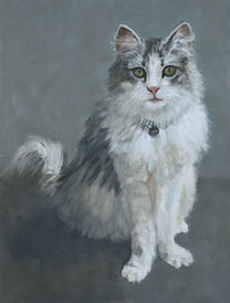 Cat painting main coons
