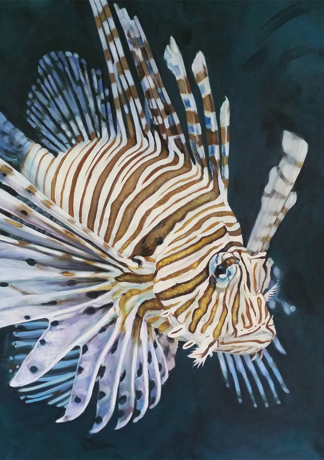 greeting card by Naomi Veitch