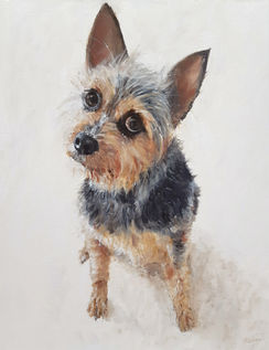 An original hand-painted oil portrait of a Yorkshire Terrier. 