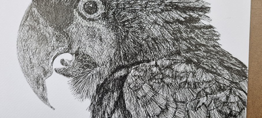 close up detail of the pen drawing