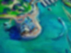 detail of an Original Gymea Lily & Sydney Harbour Painting