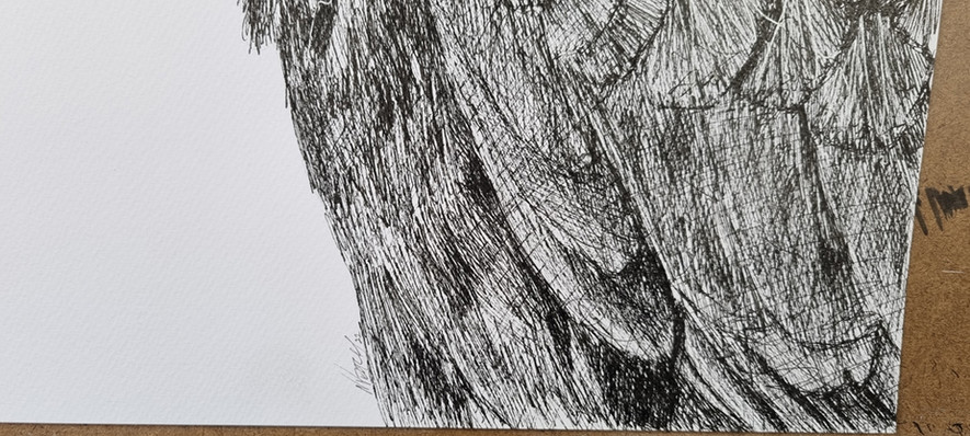 close up detail of the pen drawing