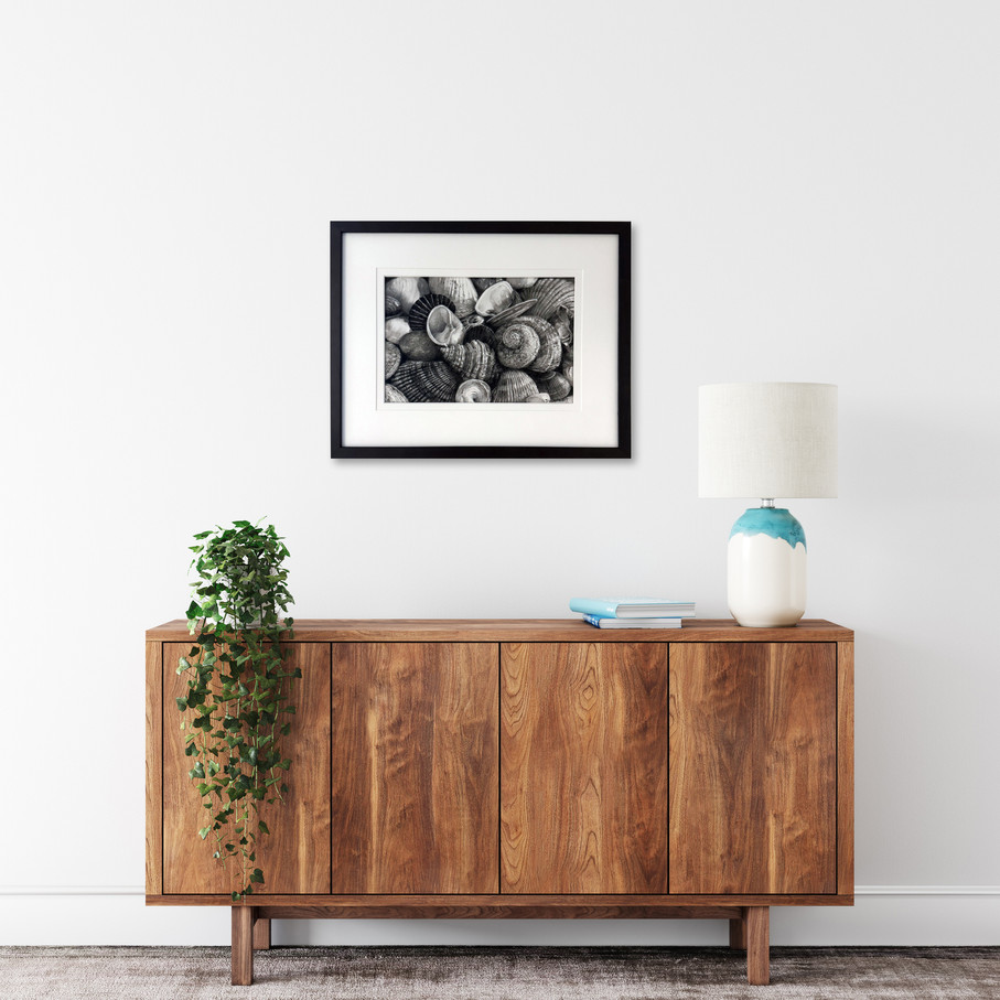 framed, black and white seashell drawing, displayed above timber cabinet