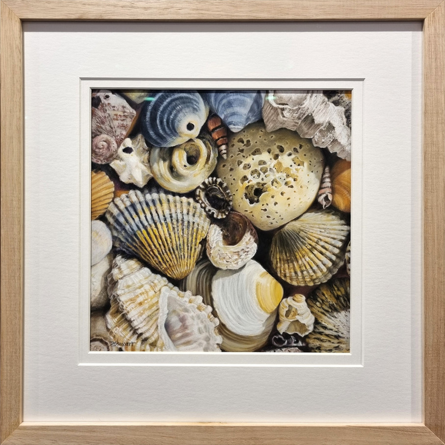 realistic pastel painting of a group of seashells, framed in oak
