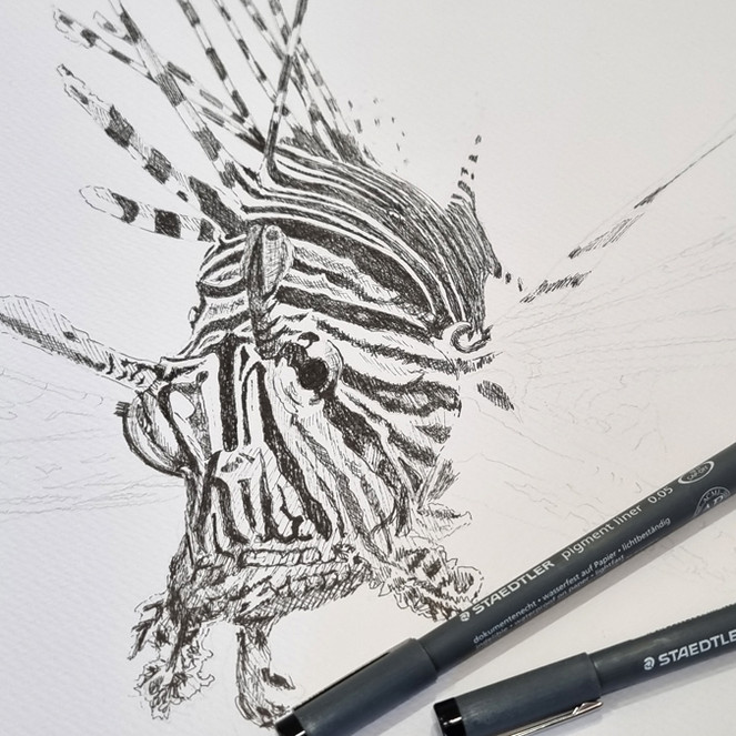 Detail of the lionfish drawing with pens