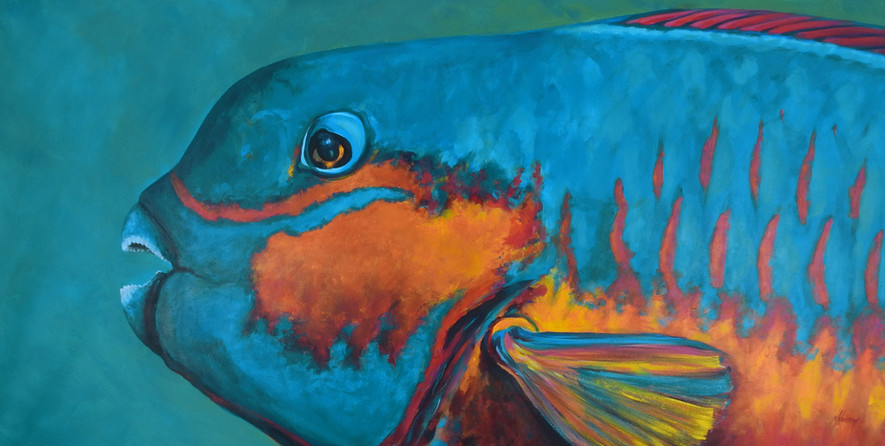 xl colourful Parrotfish Painting