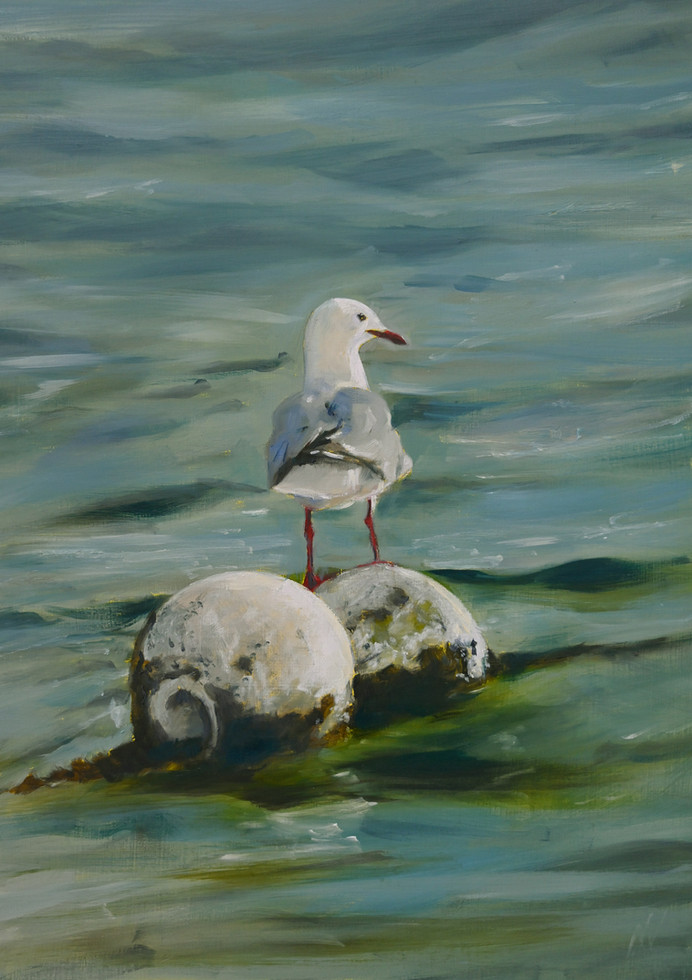 The Balancing Act fine art print showing a seagull resting on a weathered buoy in calm green-blue ocean water