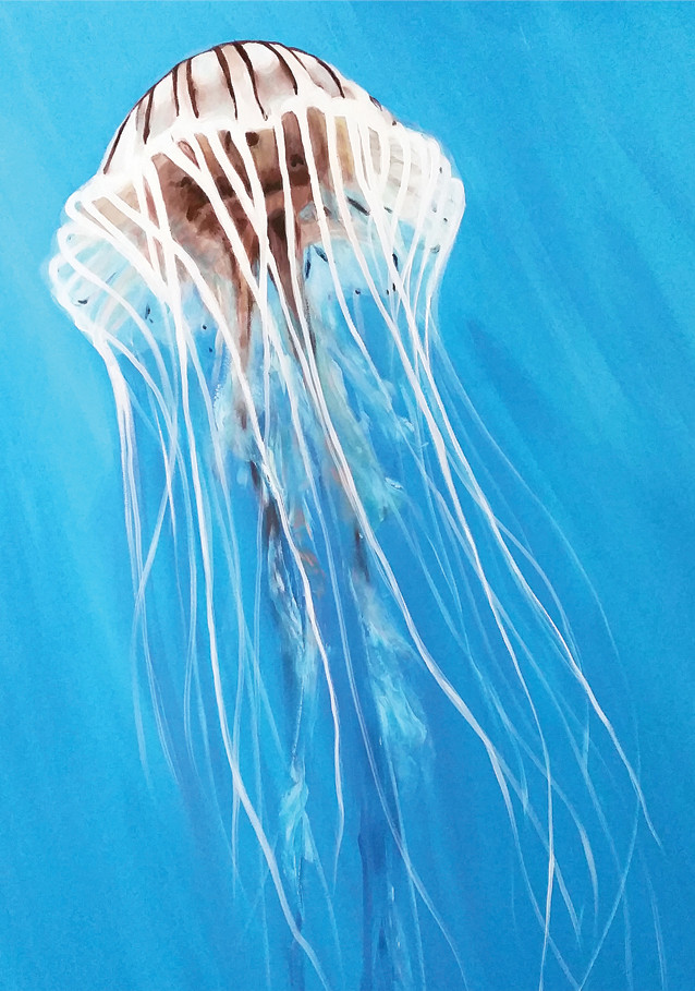 jellyfish painting by Naomi Veitch