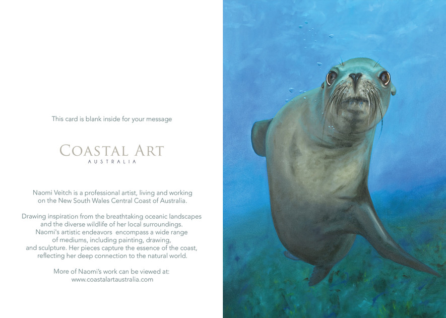 Sea lion greeting card