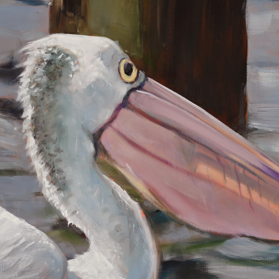 Pelican detail from Naomi Veitch's original oil painting Pylon Patrol. Hand-painted coastal bird art.