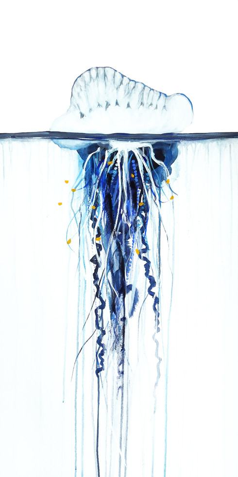 Watercolor painting of a blue bottle jellyfish with long tentacles