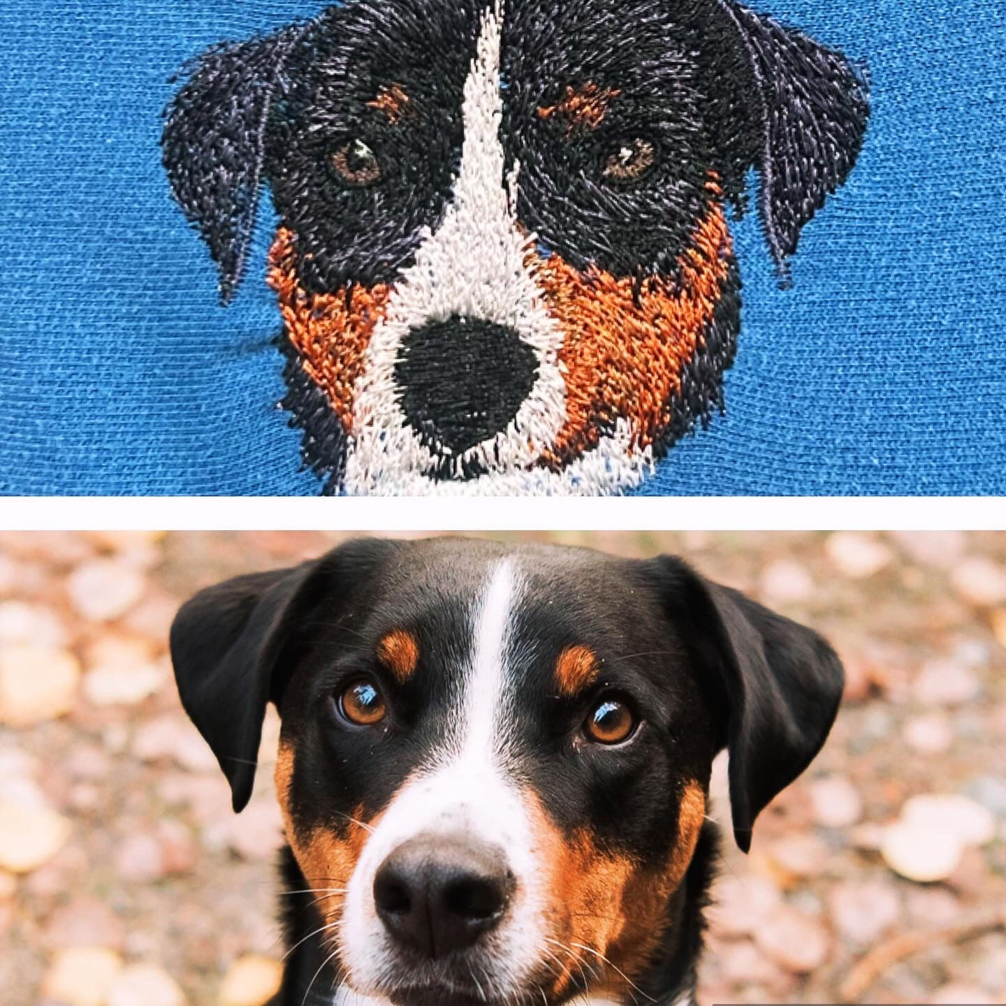 Adult Custom Pet Sweater *Unisex Sizing*