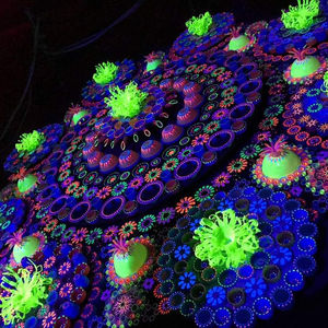 Repsycoral