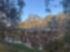 bridge.jpg