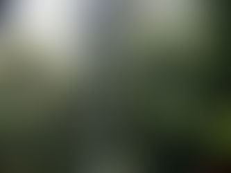 Hard-Working Poling Lorries Always Welcome Back at Autoguide