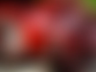 CE Marking & Document Compliance: A Notice for our Customers