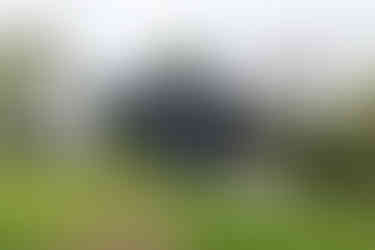 Screw pile Foundations