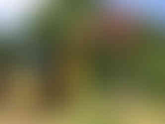 excavator torque head