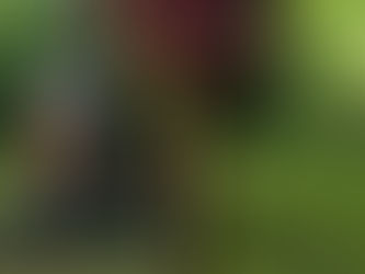 The Autoguide Postmaster: Purpose-Built Post Installation, Done Properly