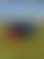 electric auto-roller