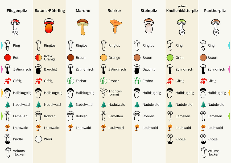 Miniaturbild: Fungi Faszination