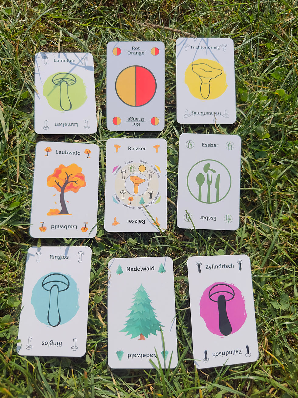 Miniaturbild: Fungi Faszination