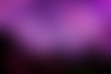 Crowd at the concert