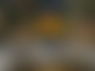 blackbear album artwork for, "misery lake"