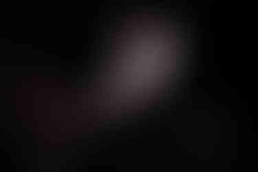 BryceVine-@ljportnoy-41